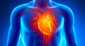 تكون نسبة عضلة القلب خطيرة عندما تقل كفاءتها عن 30%، في تلك الحالة تبدأ العلامات الخطيرة